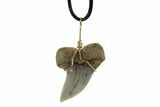 Fossil Mako Tooth Necklace - Bakersfield, California #95261-2